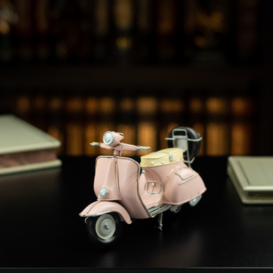 model by Nitsche photo