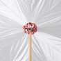 umbrella cane photo