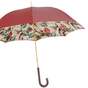 umbrella cane photo