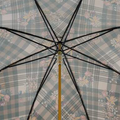 парасолька-тростина фото