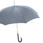 buy an umbrella in a gift shop photo