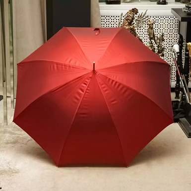 фирменный зонт фото 1