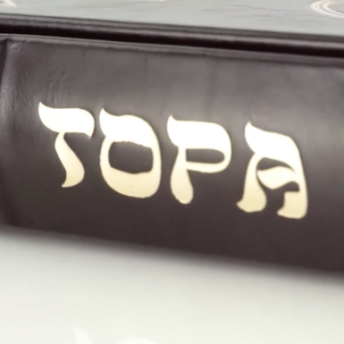 wow video Gift book «Torah»