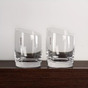 pair of whiskey glasses photo