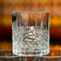 Lion in a glass photo