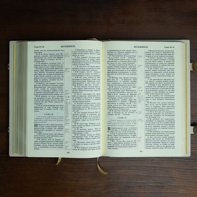 Complete Bible photo