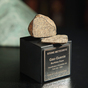 уникальный каменный метеорит фото