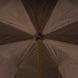 купол парасольки фото