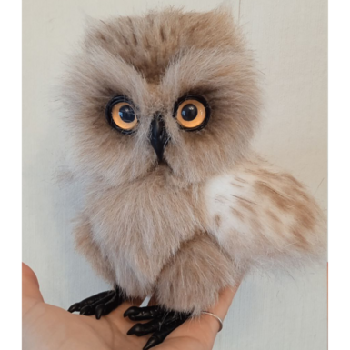 "Owl" photo