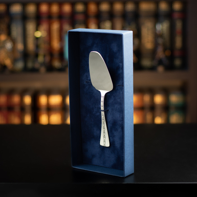 лопатка для сервировки серебро фото