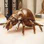 интерьерный декор жук фото