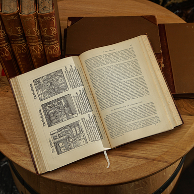 книга Гельмота Ганса фото