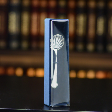 silver spoon in gift wrapping photo