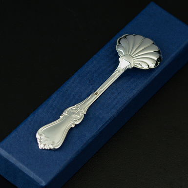 elegant spoon photo