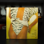 Вінілова платівка Diana Ross фото