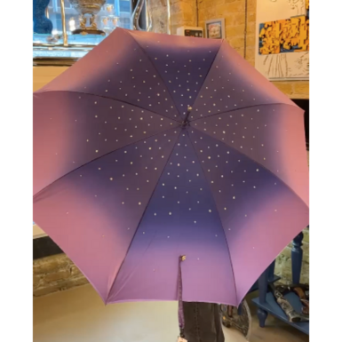 wow video Women's cane umbrella with Swarovski crystals "Violet" from Pasotti