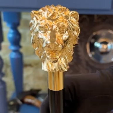 wow video Walking stick "Lord" by Pasotti with gilded lion head handle
