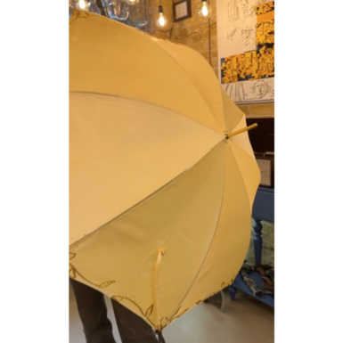 wow video Umbrella "Ivory" from Pasotti
