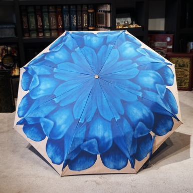 зонт голубого цвета фото
