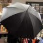 wow video Umbrella "Dandy" from Pasotti