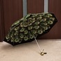 парасолька у розкритому вигляді фото