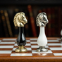 шахматный конь фото