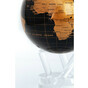 globe on a stand photo