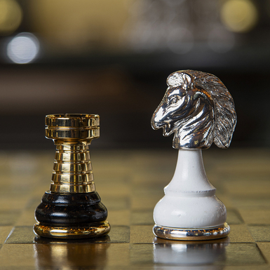 шахматный конь фото 1