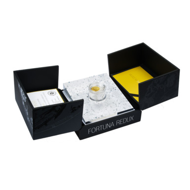 serebryanaya-moneta-fortuna-redux_1