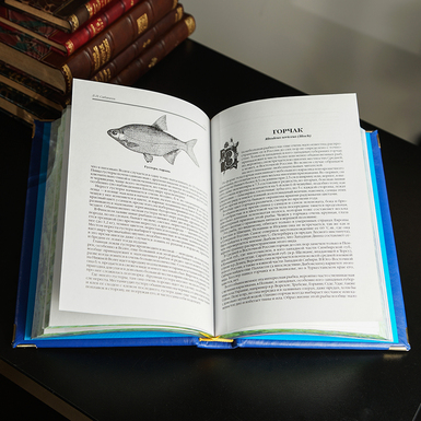 DSC09040 копия.jpg