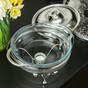 glass dish photo