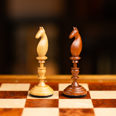 chess knight photo