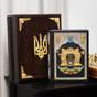 Gift edition of the book Hrushevskyi M.S. "Illustrated history of Ukraine" (in English) photo