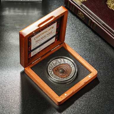 a coin with a volcano inlay