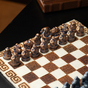 chess for man photo