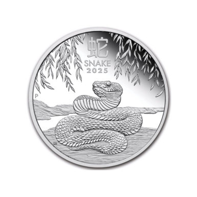 Silver coin "Snake", 1 dollar photo