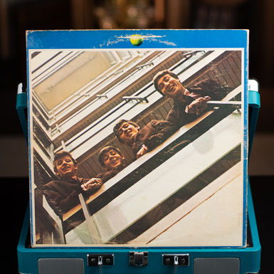 пластинка фото