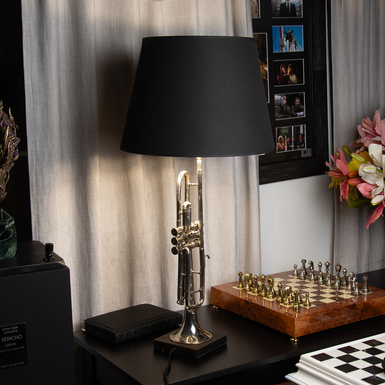 "Музичне сяйво" ручної роботи фото