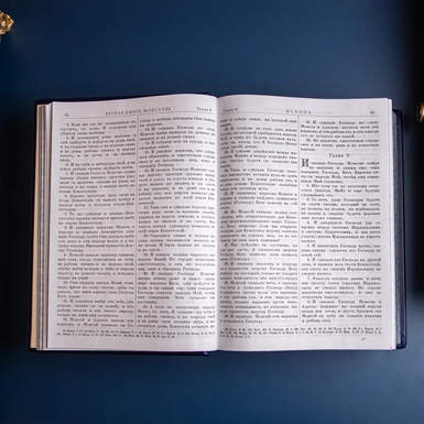 wow video Ексклюзивна подарункова Біблія