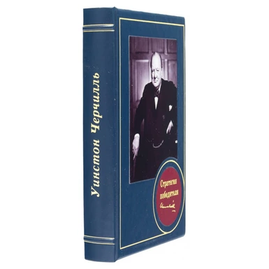 wow видео Книга "Стратегия победителя"