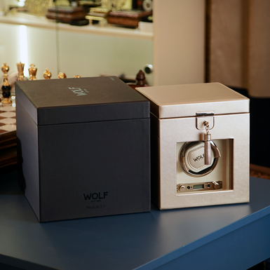 Скринька від Wolf фото 1