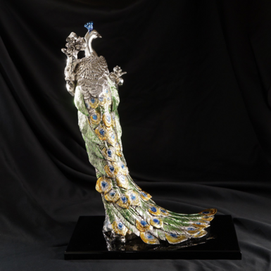 Bright color of peacock photo