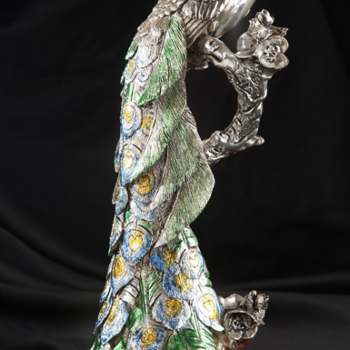 Деталізований хвіст павича фото