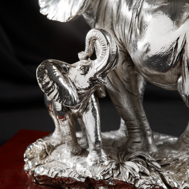 Detailed baby elephant photo