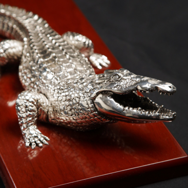 Detailed crocodile scales photo