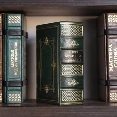 книга wow-video