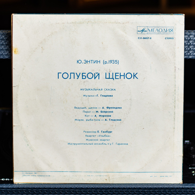 виниловая пластинка фото