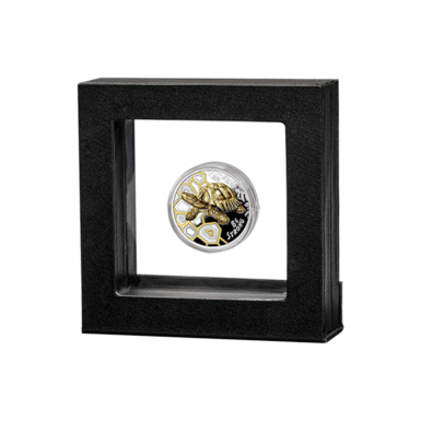 d7_collectible coin photo