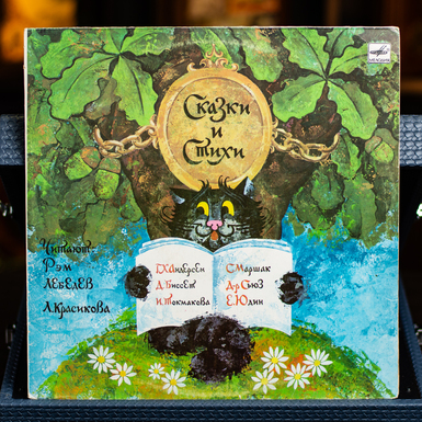 пластинка фото