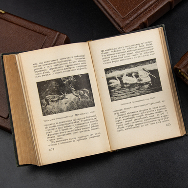 фотографії фото